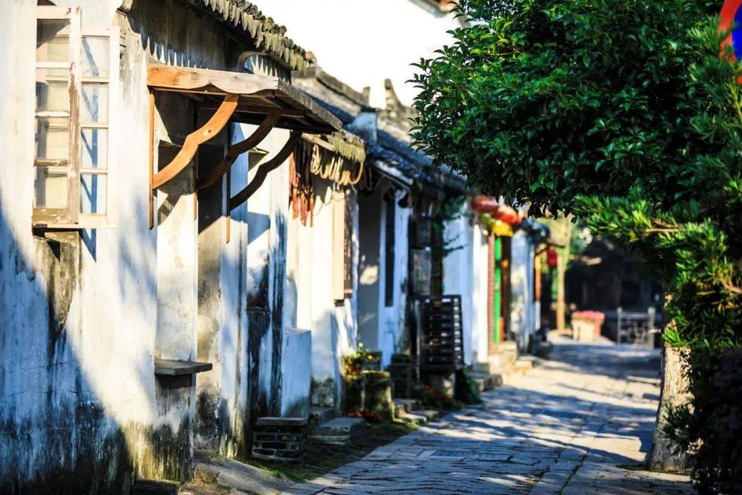 小猫钓鱼游戏龙王版有船